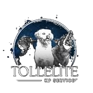 Tollelite K9